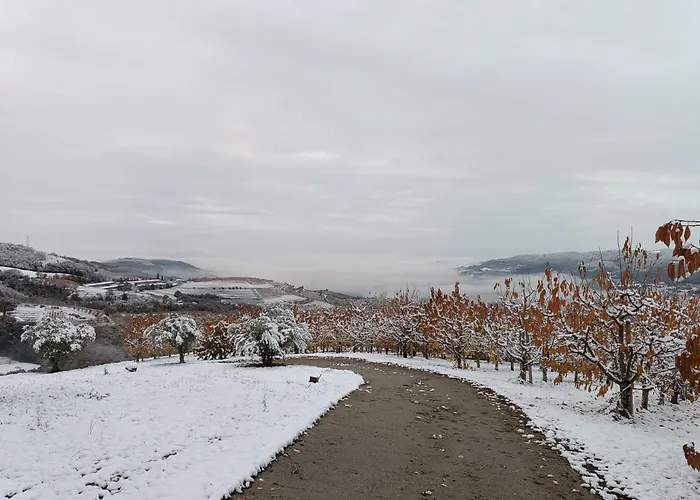 La Collina Dei Ciliegi
