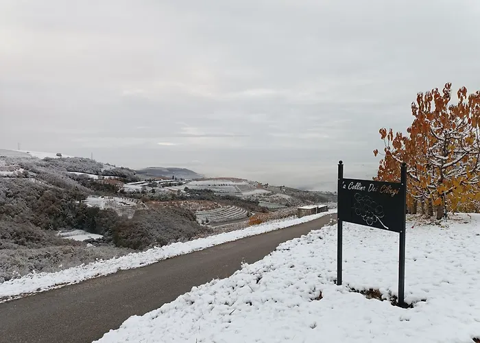 La Collina Dei Ciliegi
