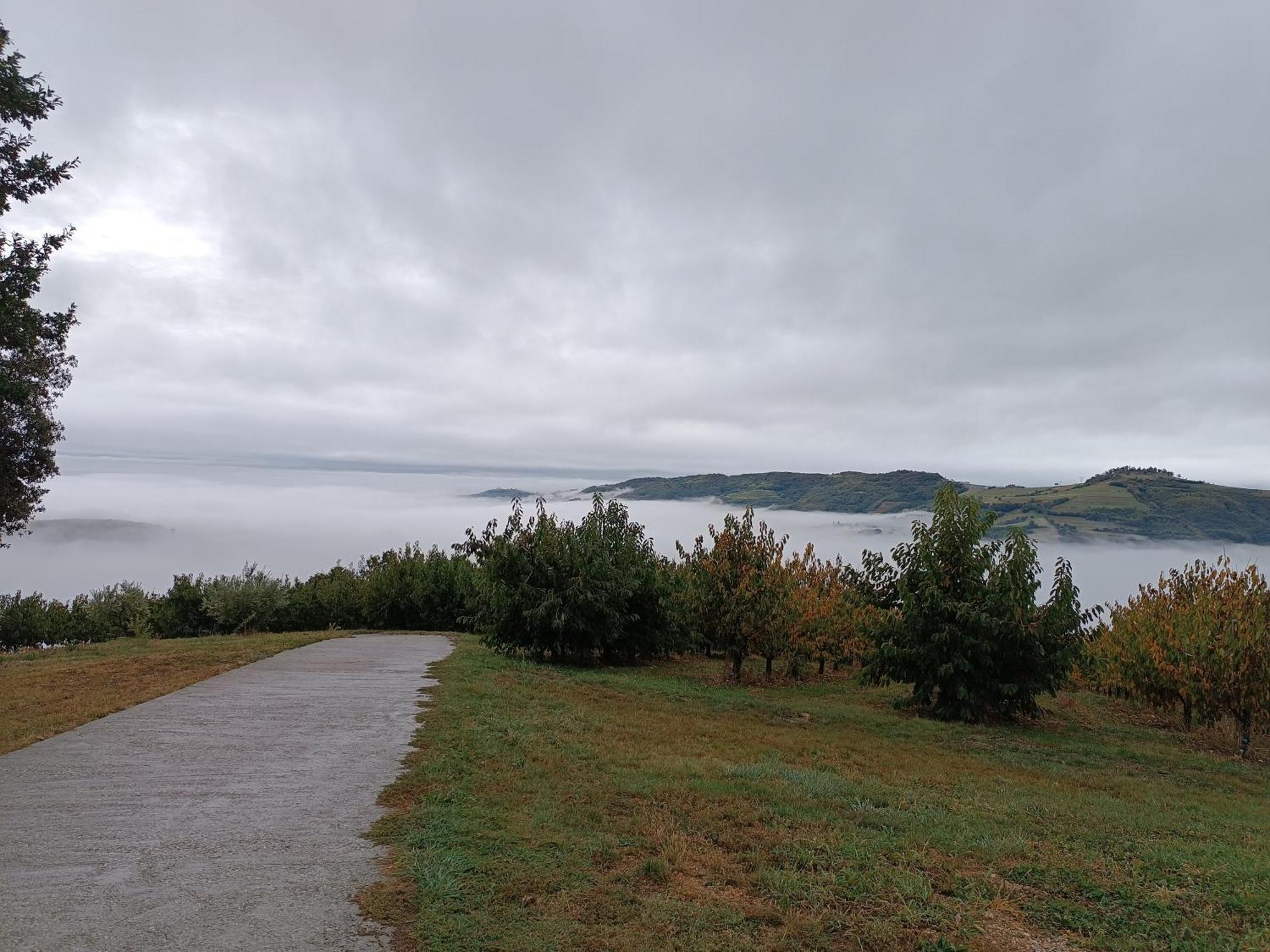 La Collina Dei Ciliegi