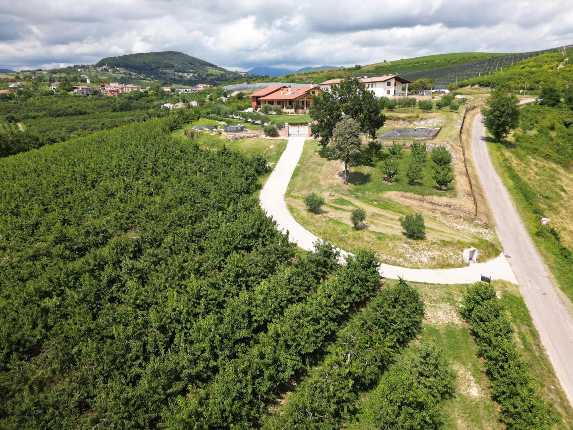 La Collina Dei Ciliegi *